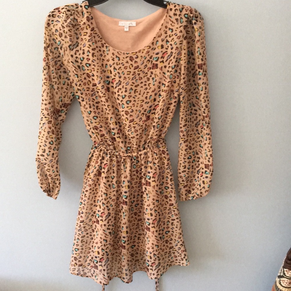Cheetah print skater dress